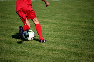 米兰全站APP正式版下载-NBA球员技术动作进阶训练，nba球员训练方式