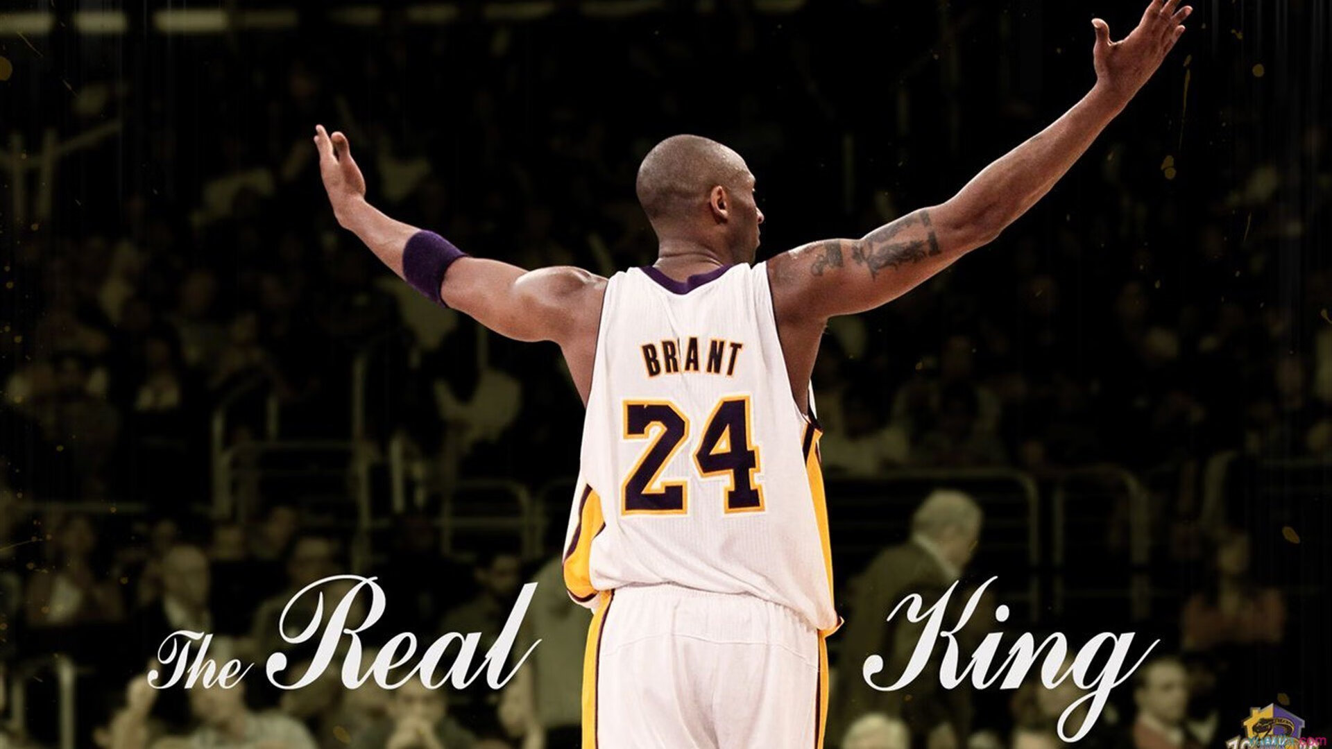 米兰体育入口-女子篮球强化体能恢复课程减少运动伤害，女篮体能训练