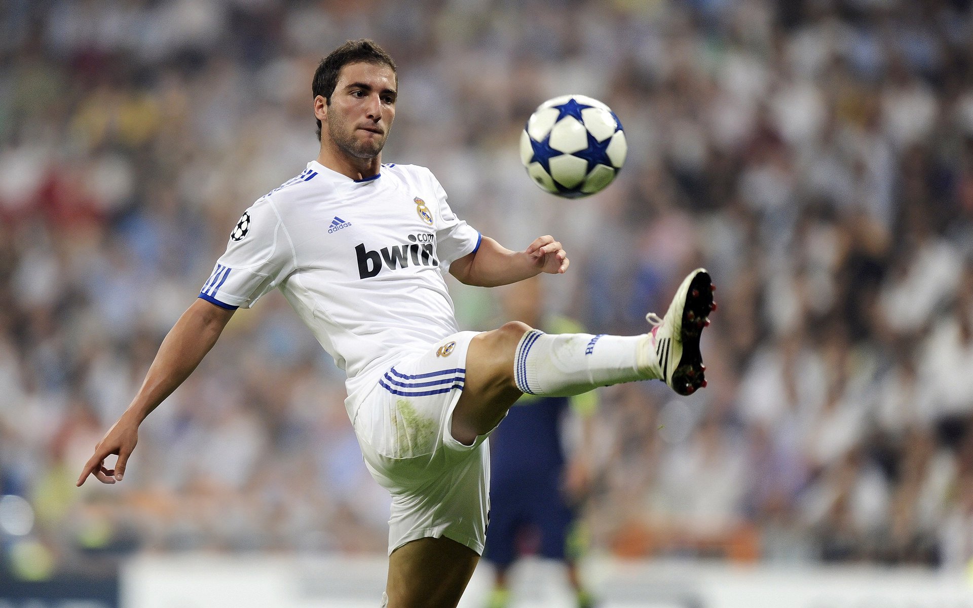 中国足球职业联赛推动多样化竞争格局,中国足球联赛开始走向职业化